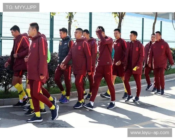 东京奥运备战：澳大利亚篮球队将在荷兰展开强化集训，奥运会澳大利亚篮球队阵容