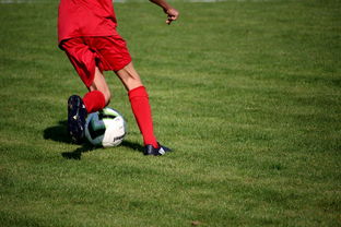 APP下载 LY Sports-篮球专项技能训练标准体系建设，篮球专项训练方法和手段